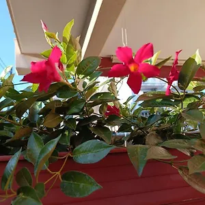 peppes-house.taorminaitalyhotels.com/